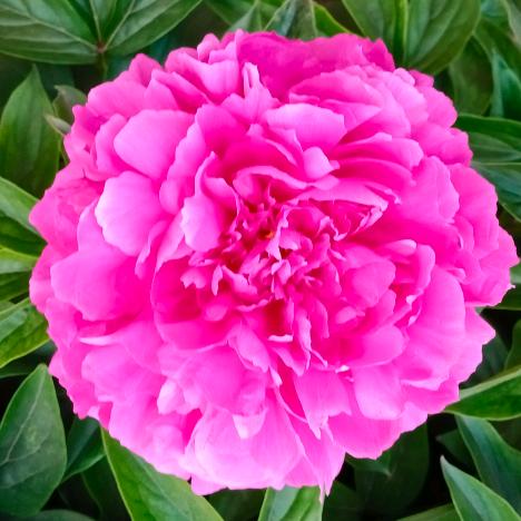 河北随遇而安66