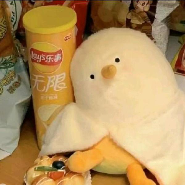 专属🧸ૢ（考研版）