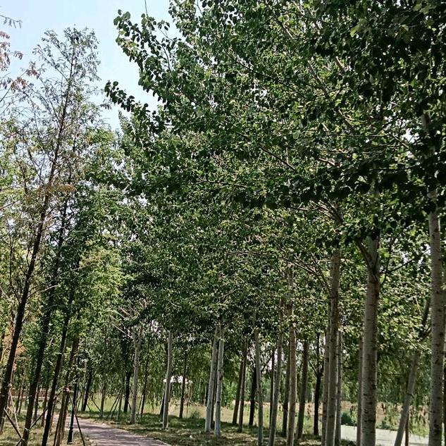 太阳雨旧衣服回收，山东龙口