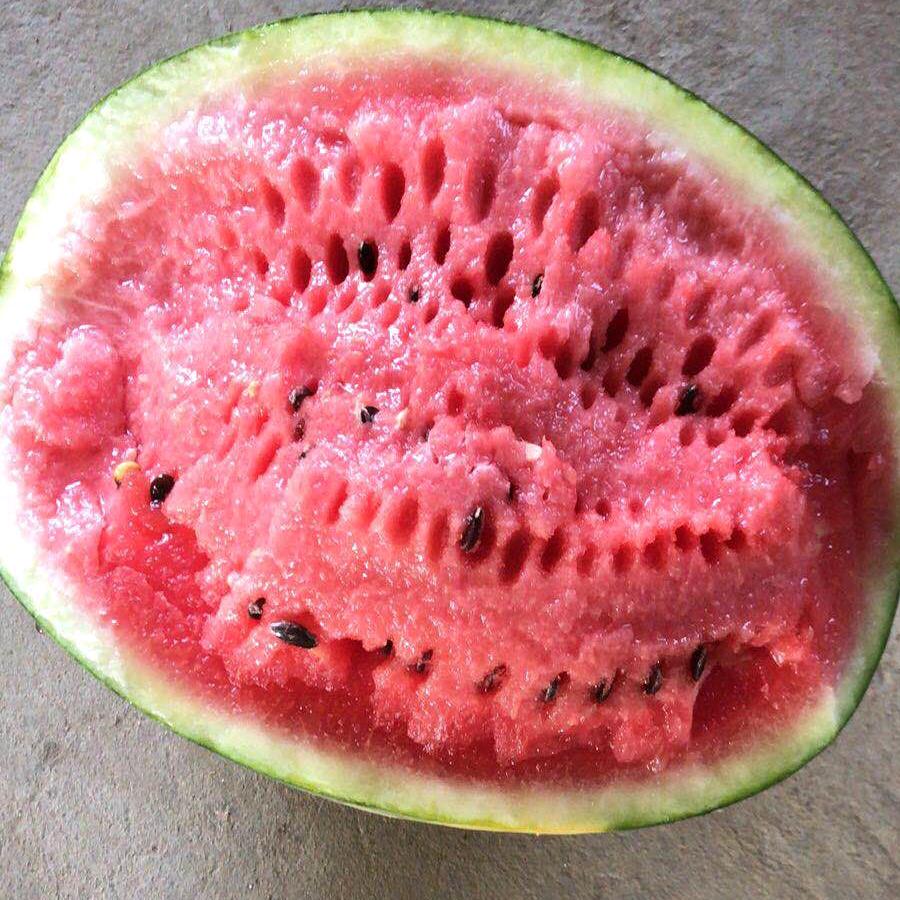 陕西高鹏果品专业合作社