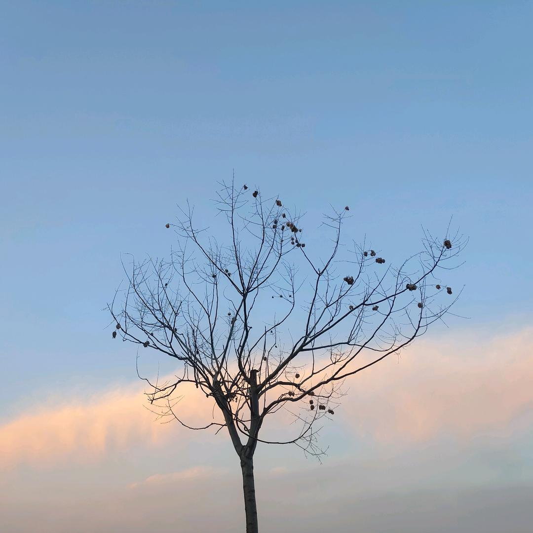 引导师