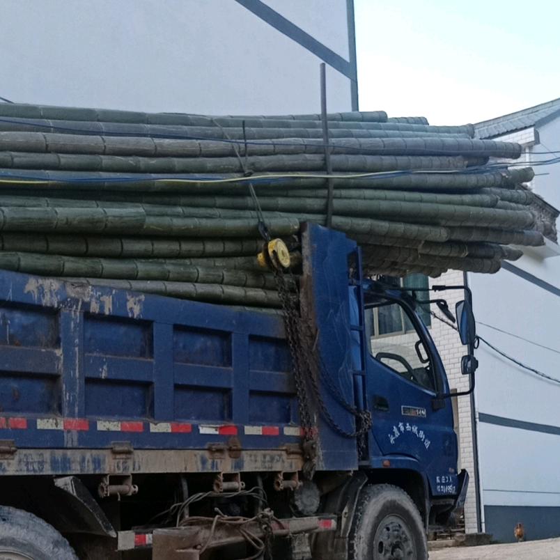 专业收毛竹运毛竹买卖