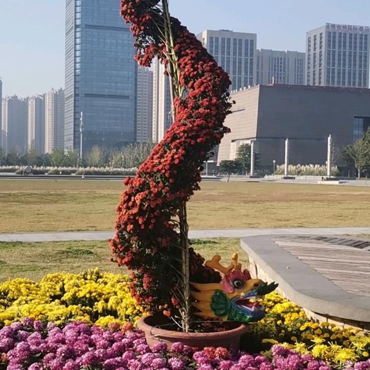 刘二姐啊
