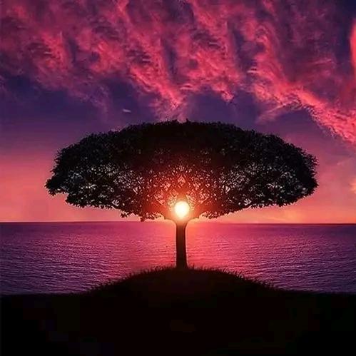 ԅ(¯ㅂ¯ԅ)姚(*^ω^*)