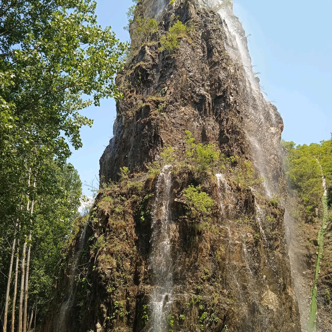 永✔