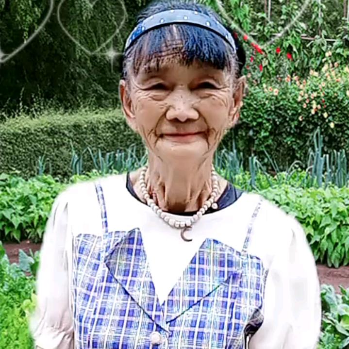 老来乐