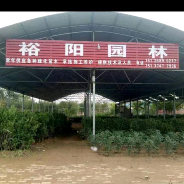 裕阳园林绿化工程有限公司