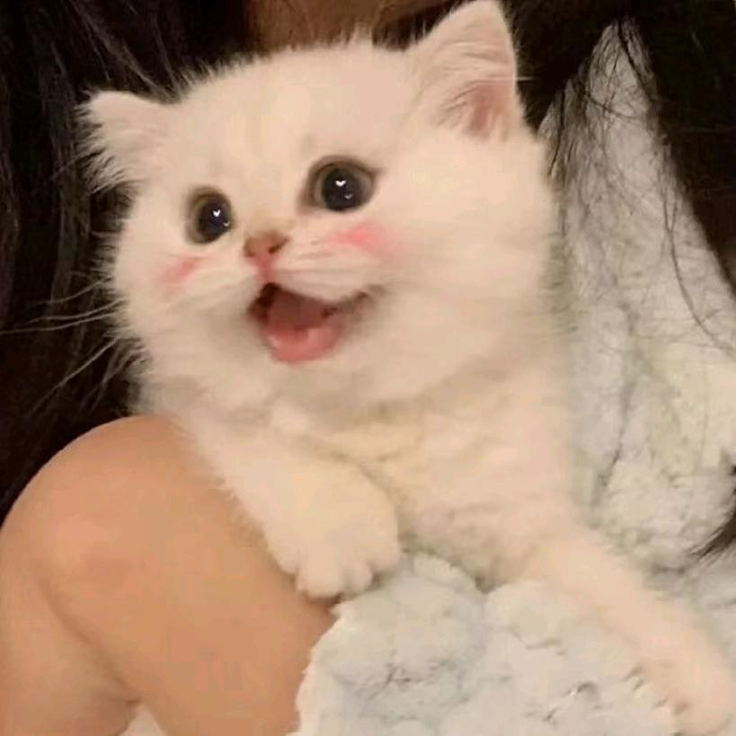 小涡