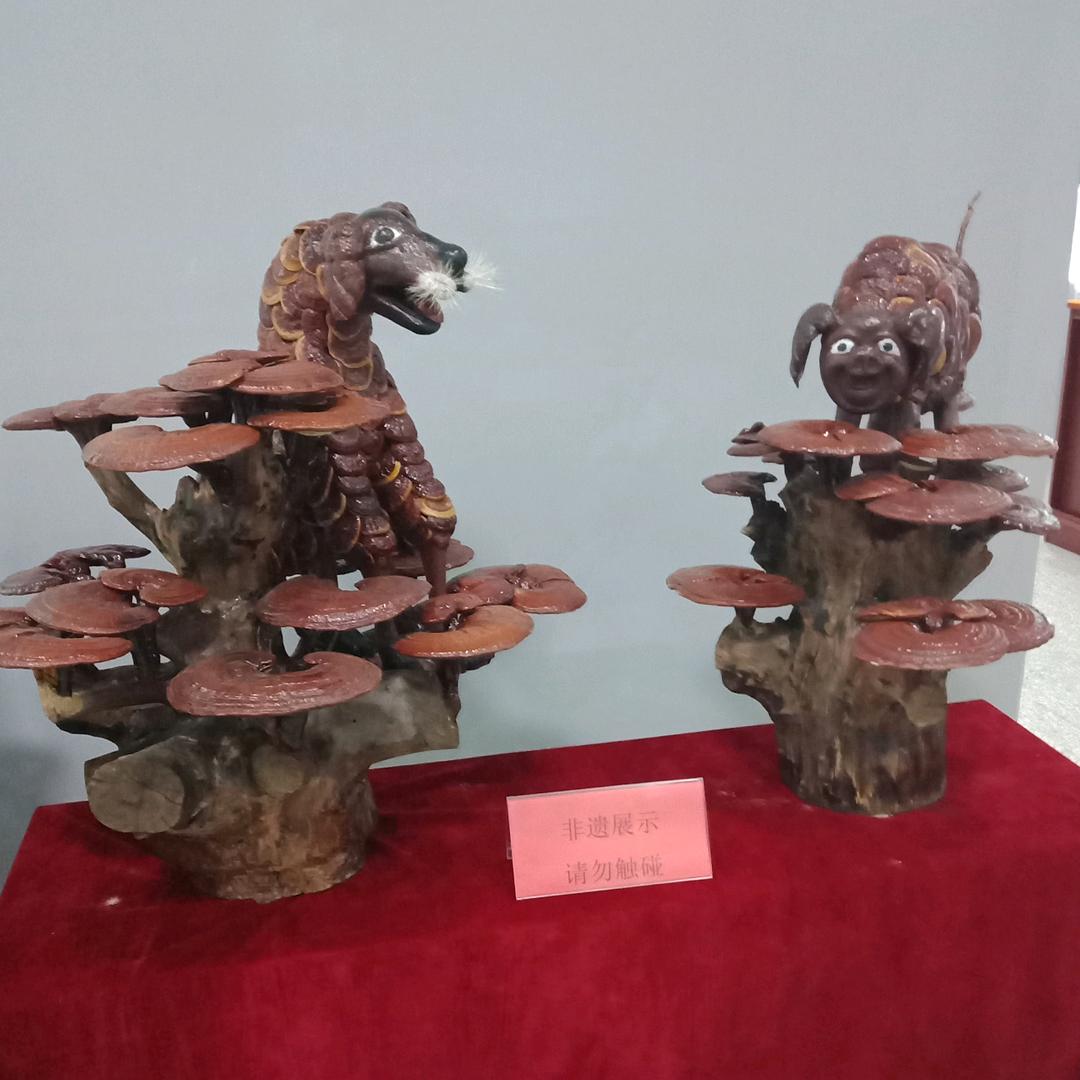 快乐生活