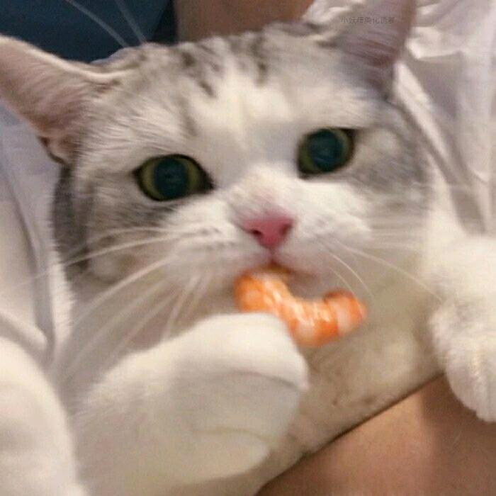 是薛先生啊