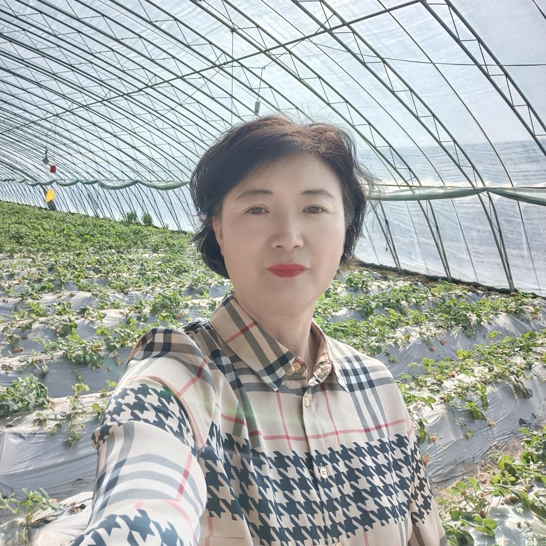 温暖的风儿
