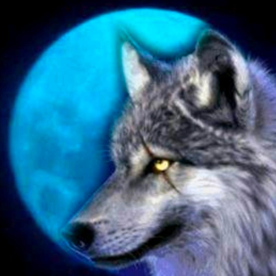 福顺饺子官方号