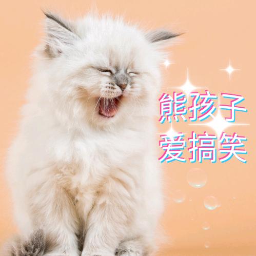 熊孩子爱搞笑