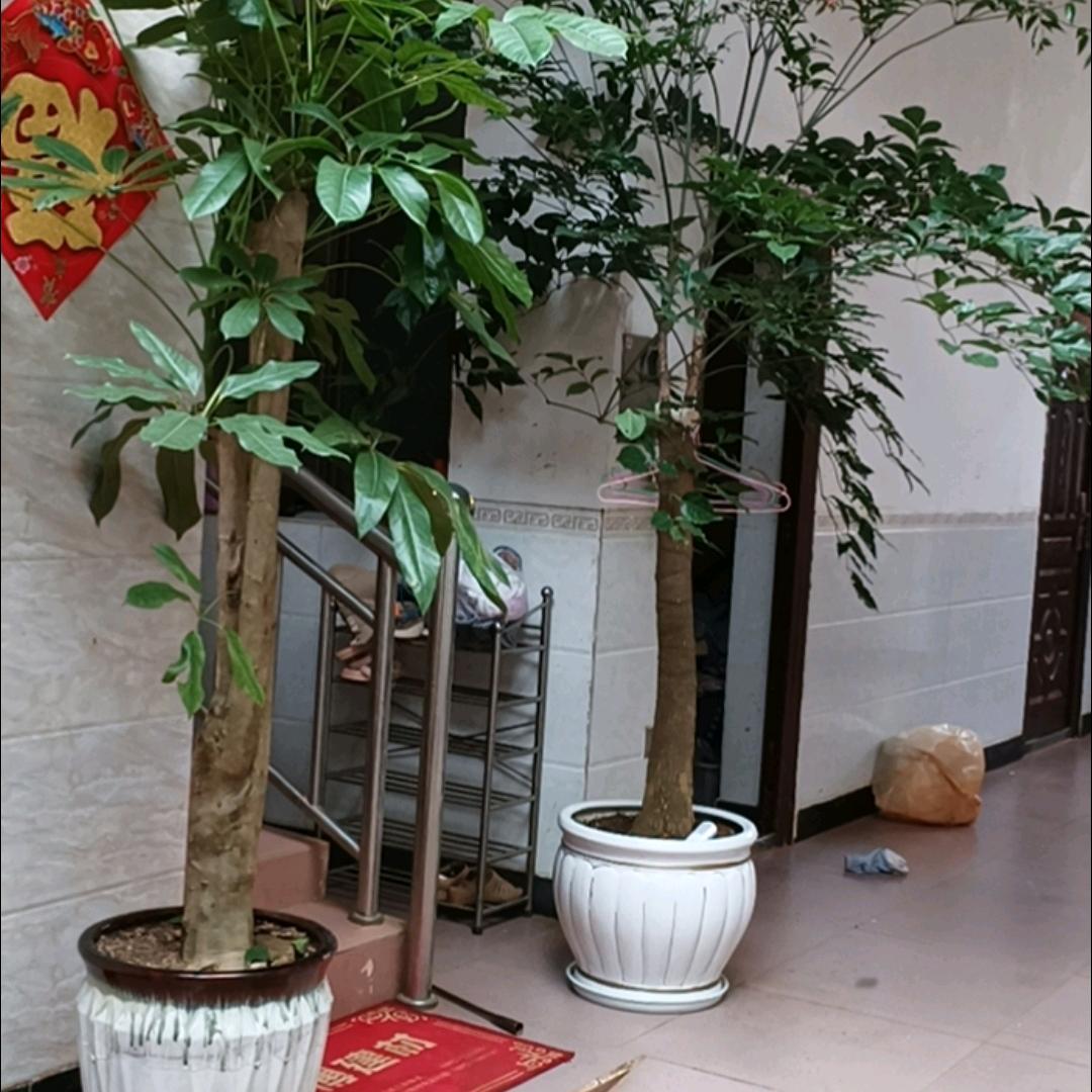 ꧁꫞꯭❤️一路有李🌈꫞꧂