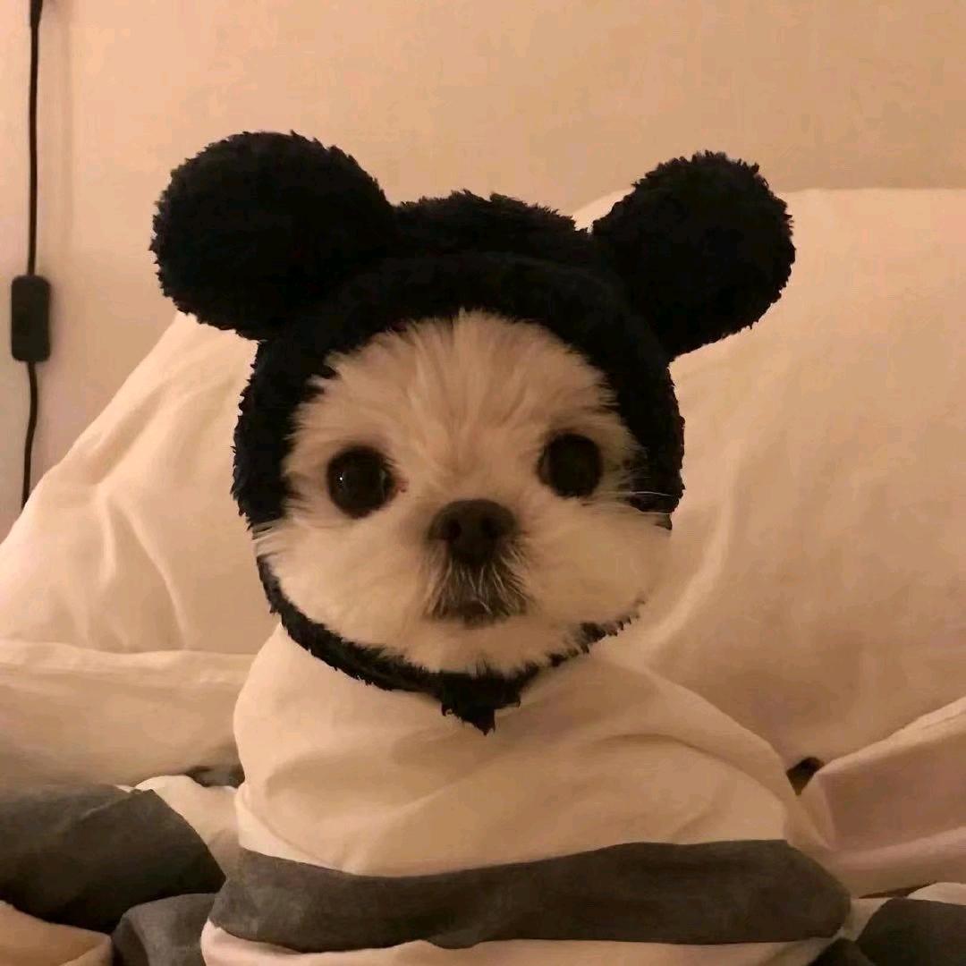 .ᶫᵒᵛᵉᵧₒᵤ_.