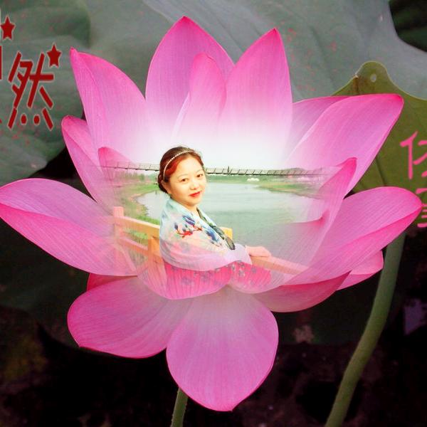 迎春花开666