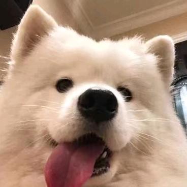 比夏洛还烦恼。