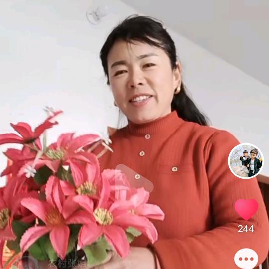 梅🐉🐎