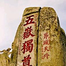 杨老师讲政治