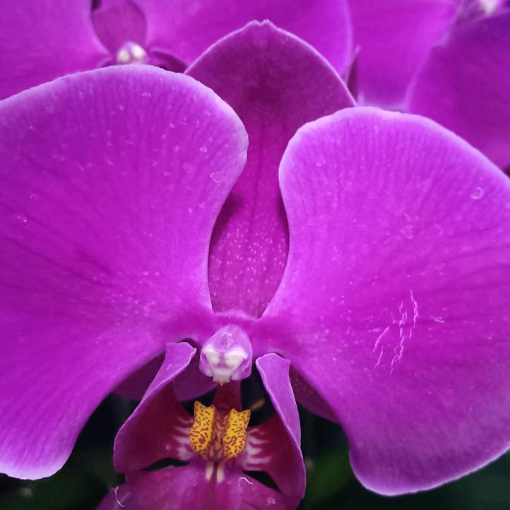 知足常乐😀😀😀