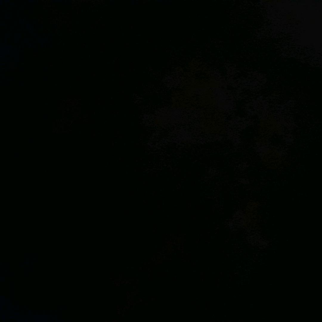 VvvVvv.12
