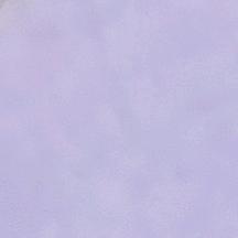 8877