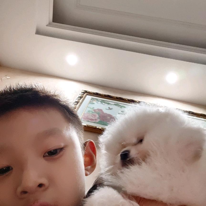 俊俊