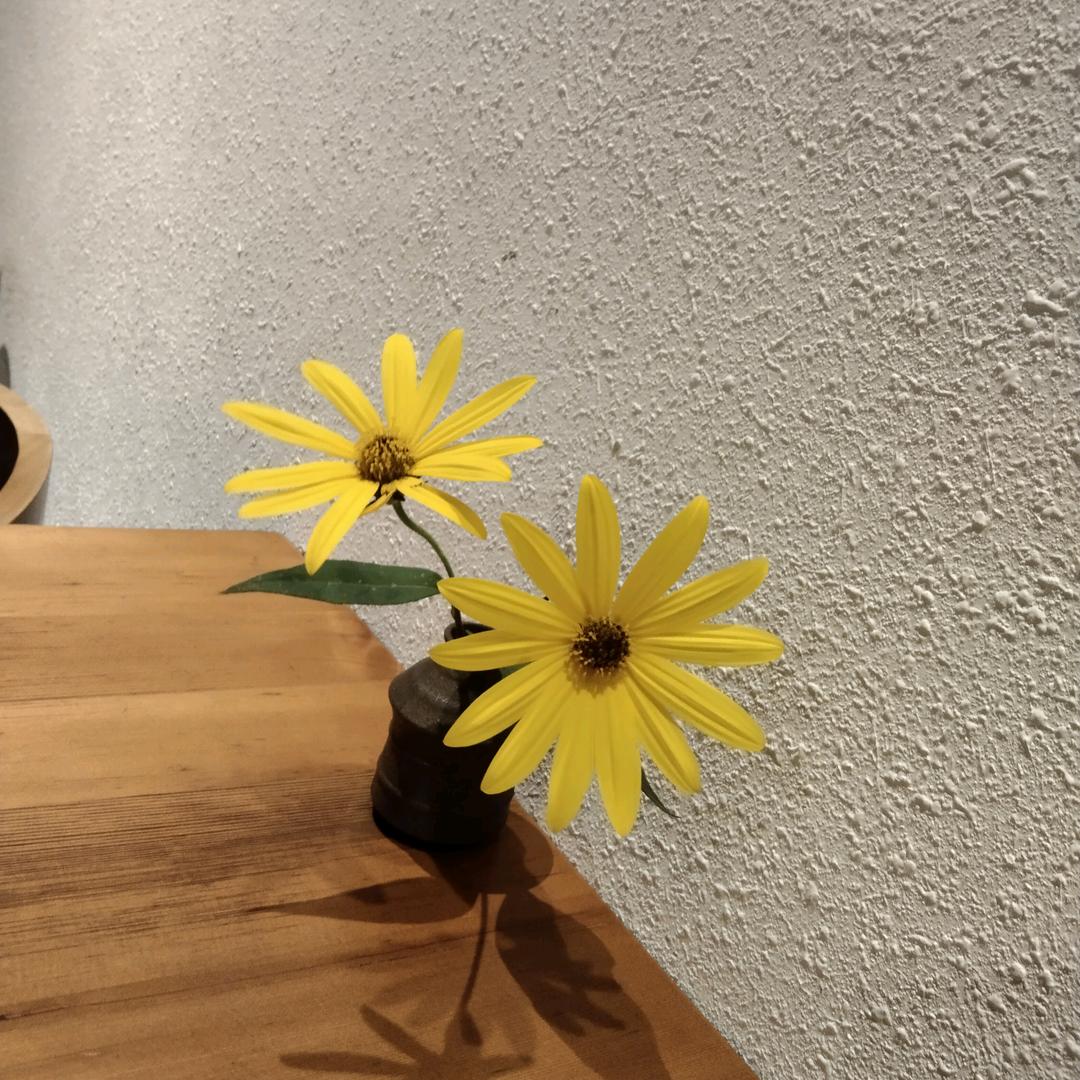 谢琳