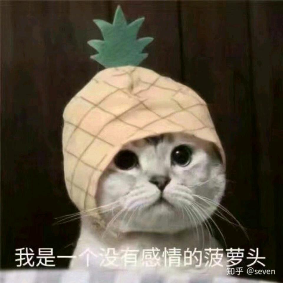 ゛泡芙小姐▽
