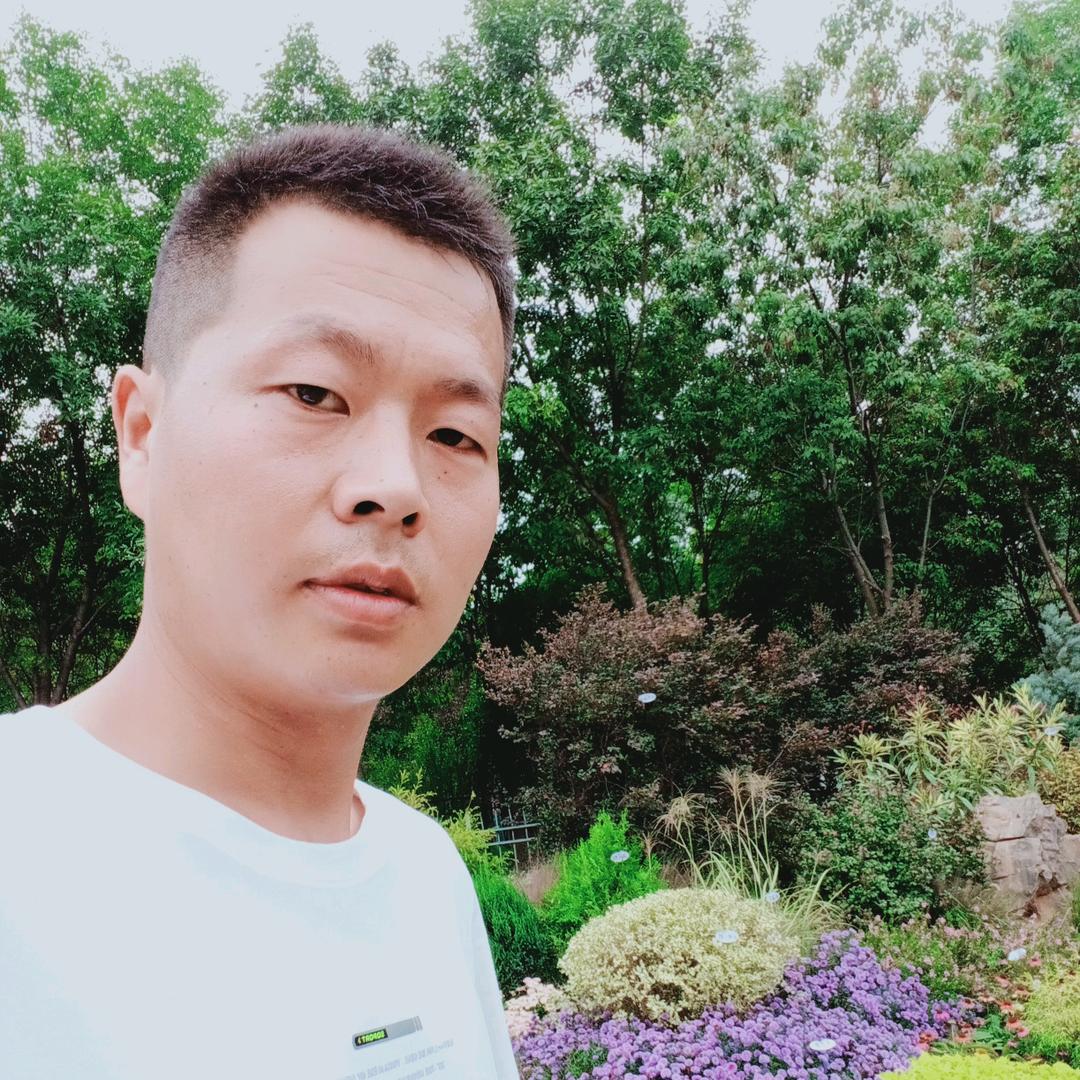 洛阳小赵铲车微挖出租