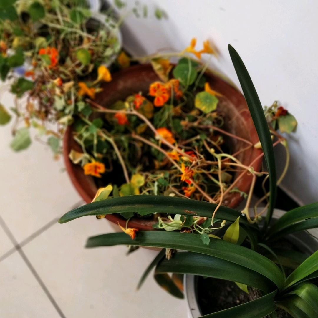桂荣