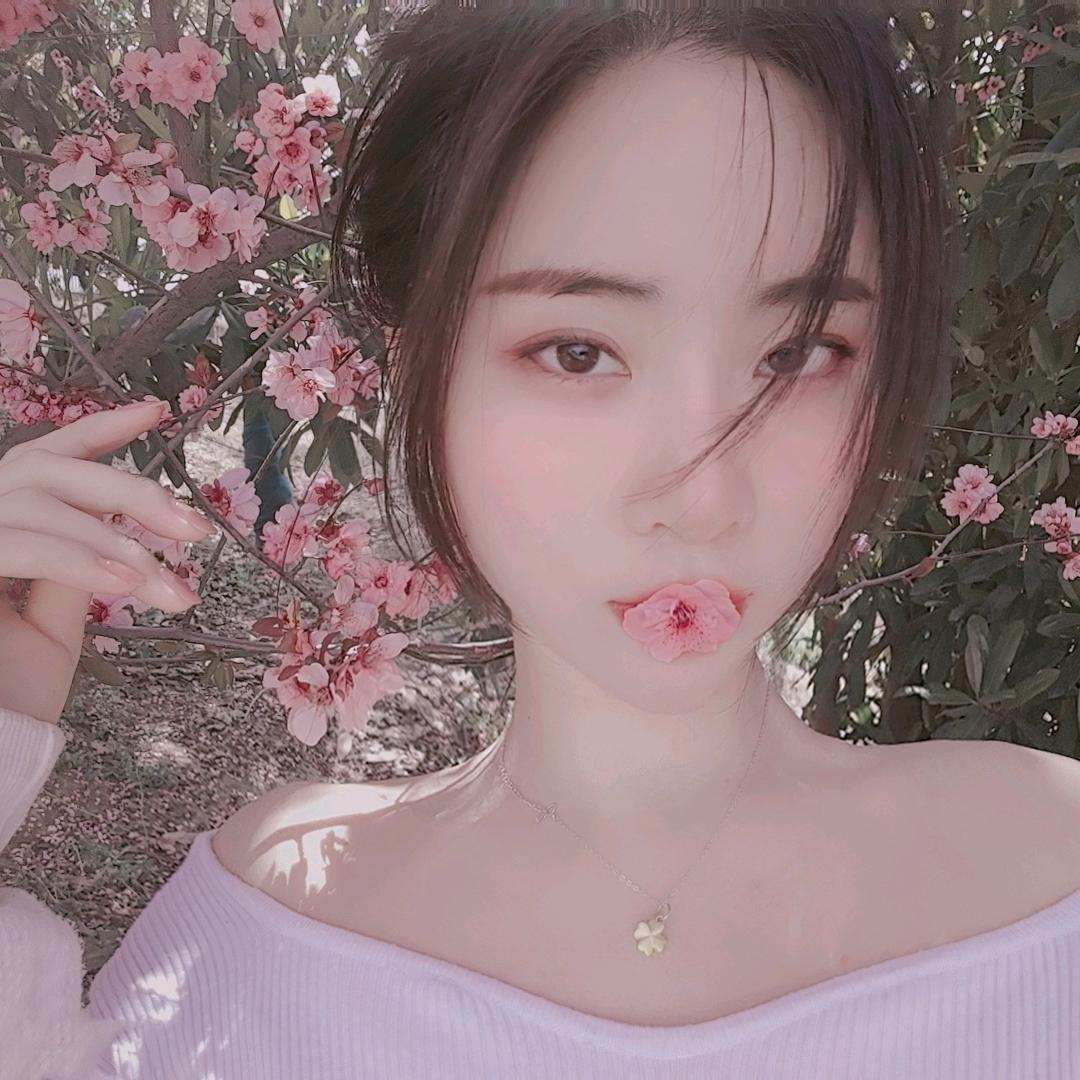 #蜘蛛#