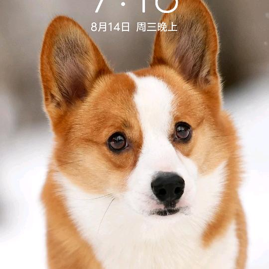 站在坟头指挥鬼