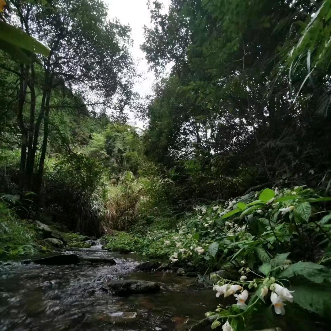 @平安是福