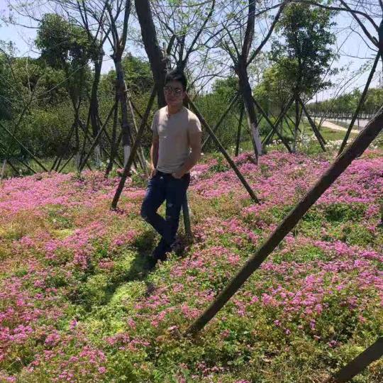 云南 赵哥哥