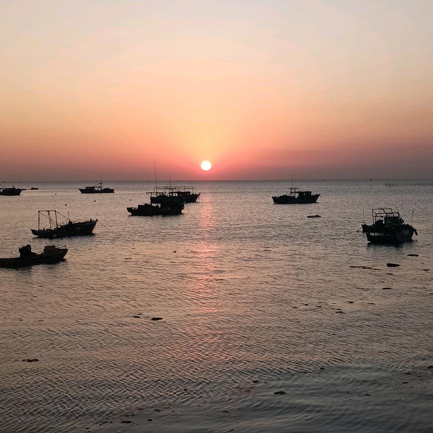海鸥的声音