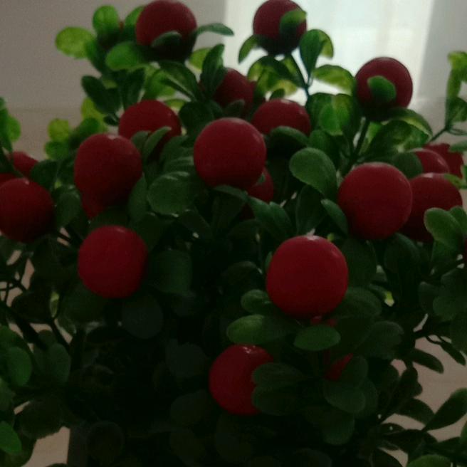 黄维专业保洁美缝