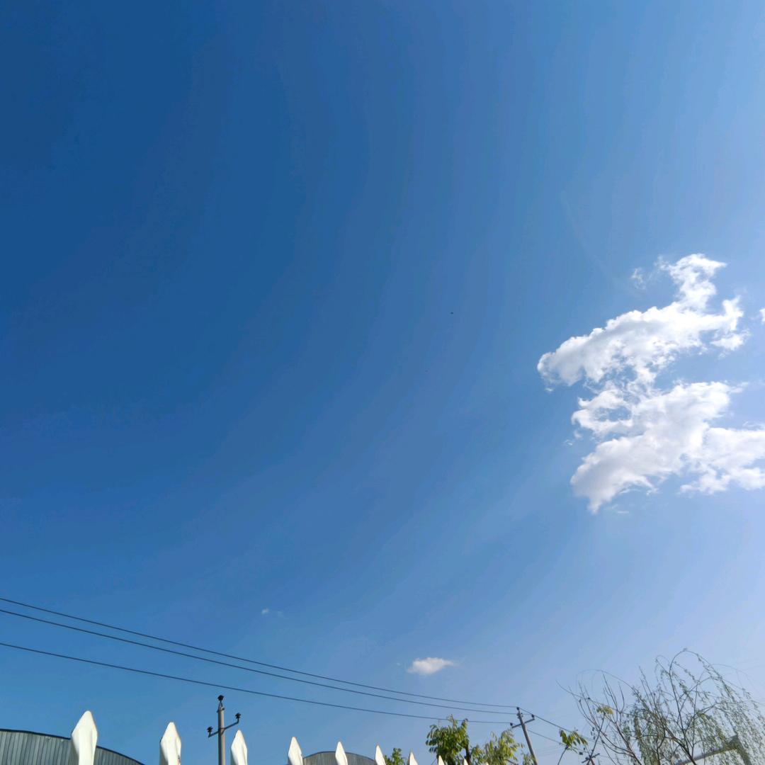 科二那点事儿