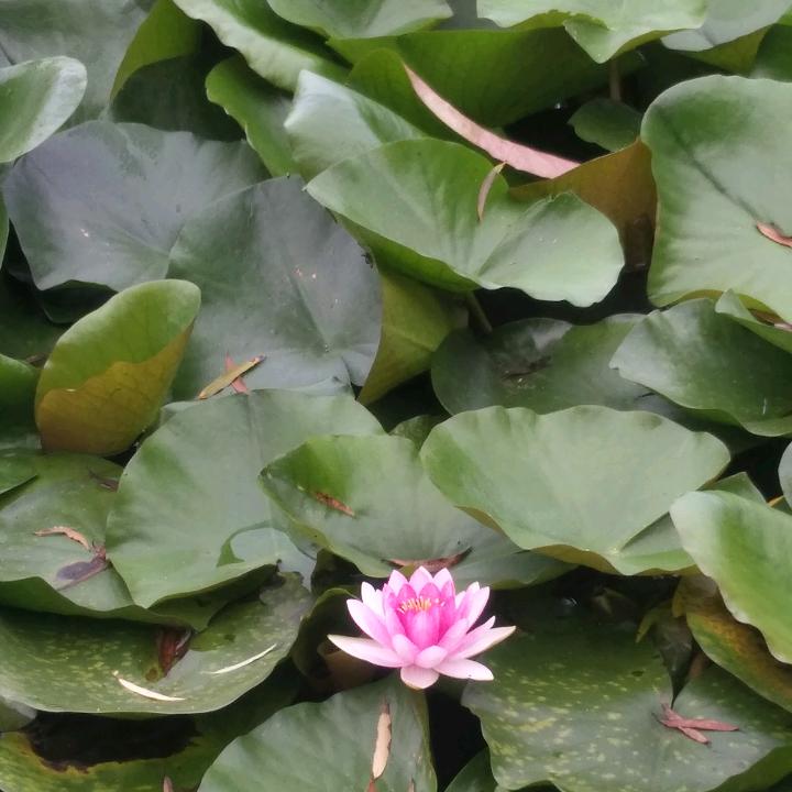 陈默是金
