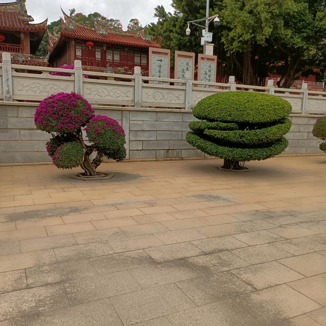 锦玉