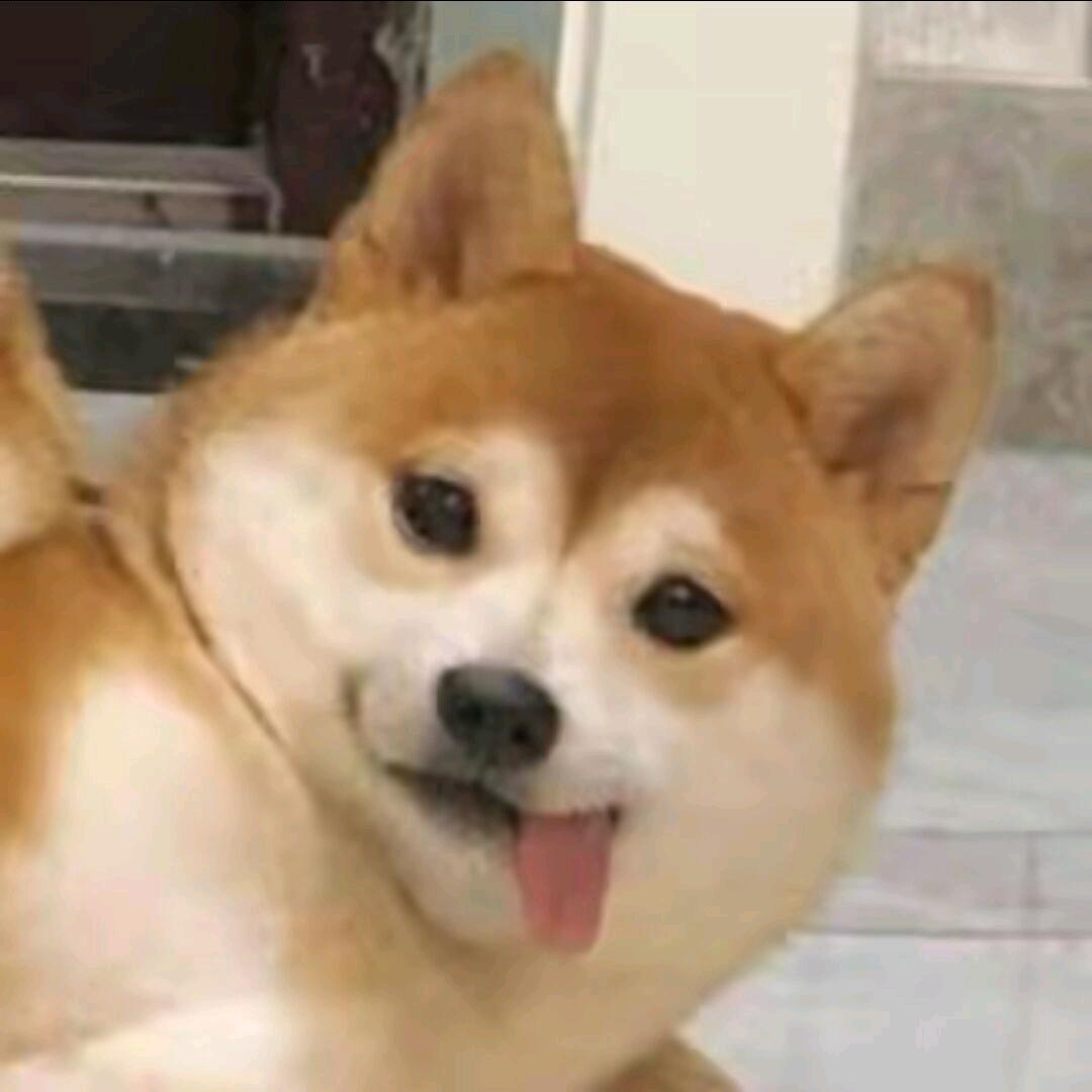 妈妈说名字太长会有傻子跟着读