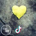 Young丨Fly
