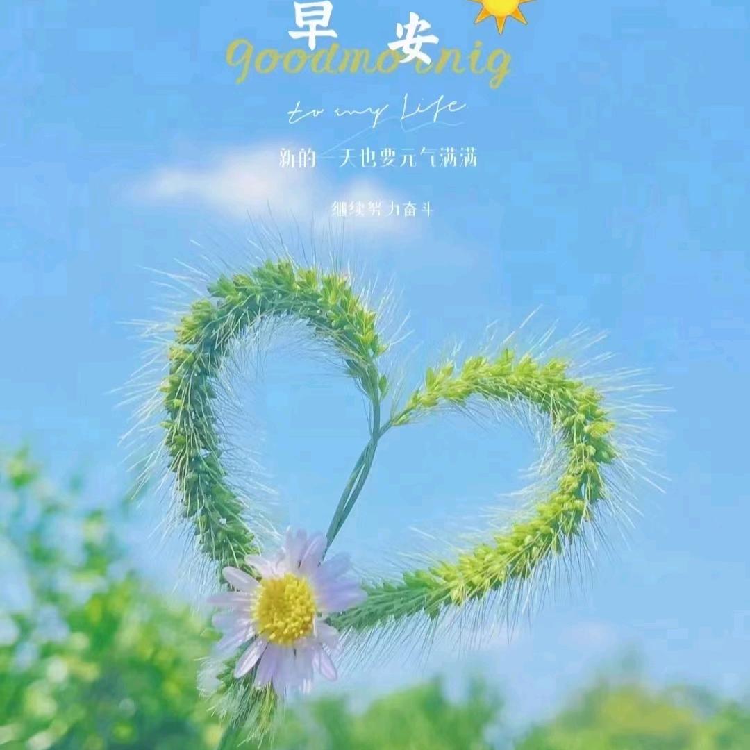 快乐每一天🦖🌷🌷🌹🌹🎋⭐️⭐