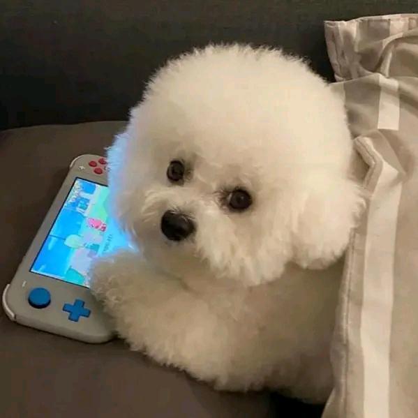 我是佚名