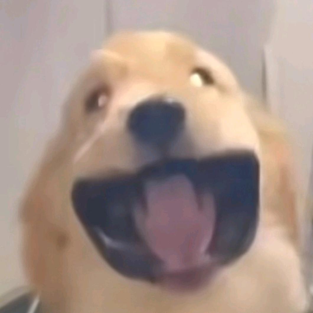 M🌝᭄