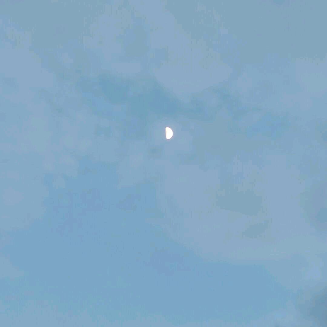 文 文