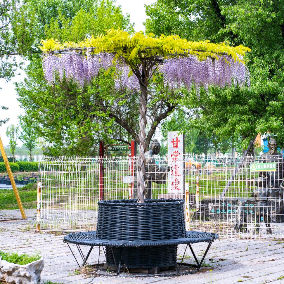 昌邑市花木场