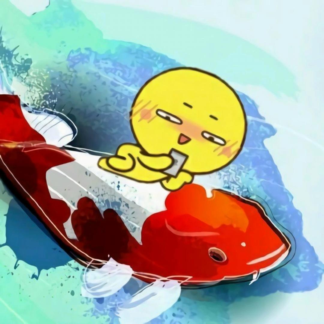 这条锦鲤