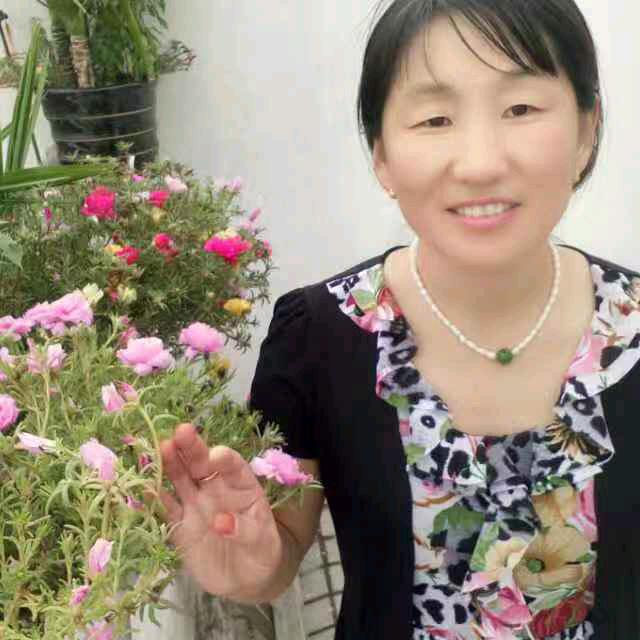 张爱梅七仙女