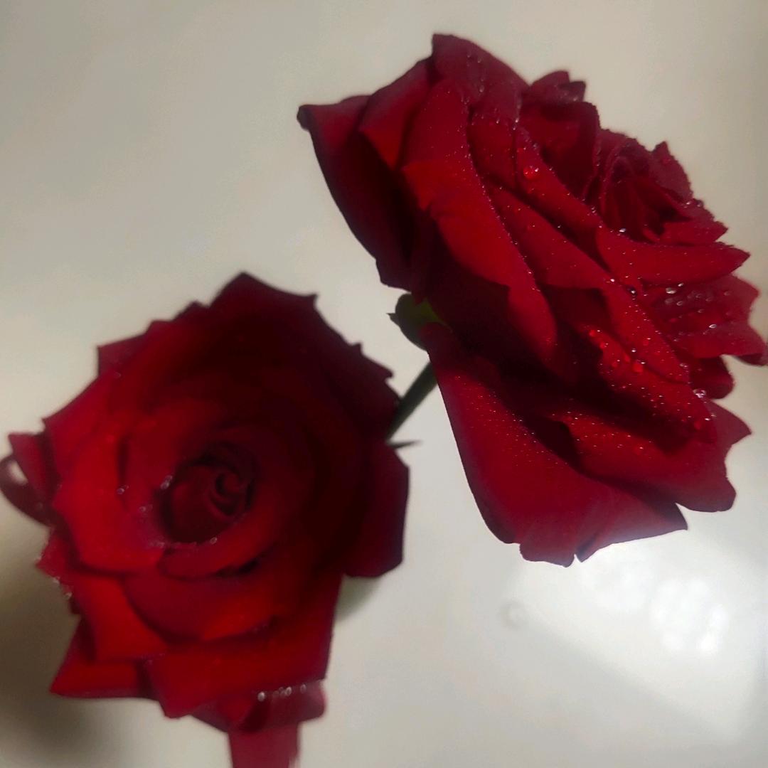 新的一天